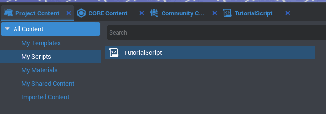 This is where all the scripts you have made for this project live. MyScripts
